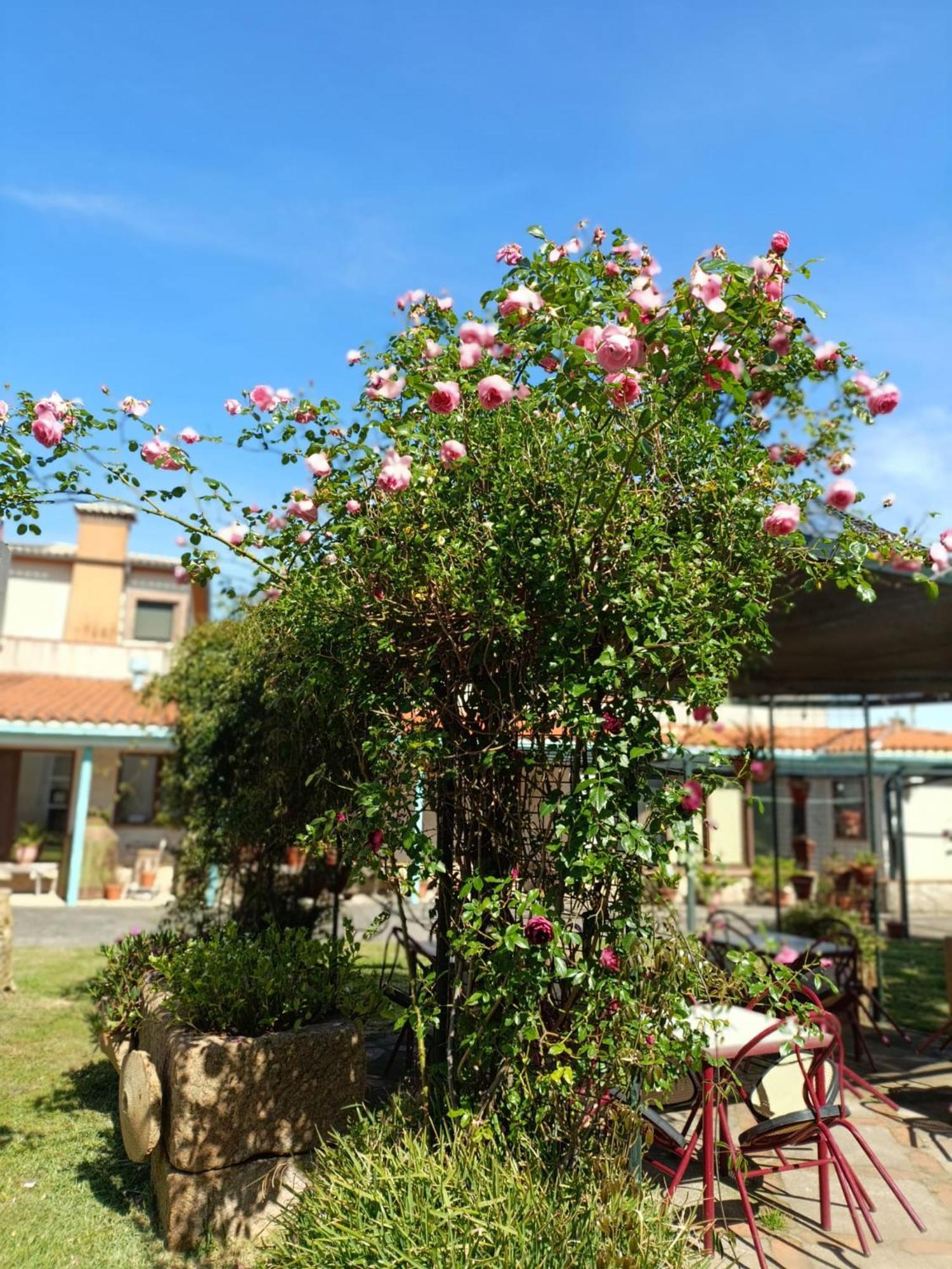Casa Rural Del Corral Malpartida De Plasencia Exterior photo